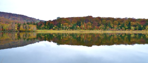 湖面の映り込みが美しい秋の八幡平大沼情景