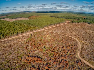 Brule River is a State Forest in Northern Wisconsin