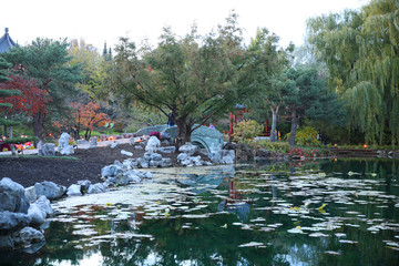 pond with trees and pond