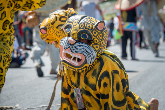 danzantes mexicanos tigres y tecuanes,colores capas mexico