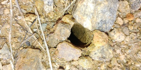 Rocky Hole