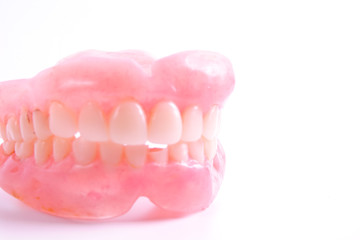 A set of dentures isolated on a white background.