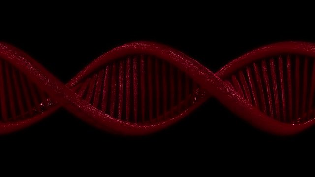 3D model of a DNA double helix with alpha channel