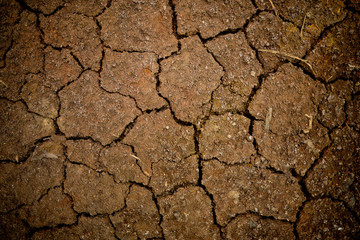 dry soil, soil texture