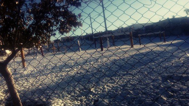 Nieve