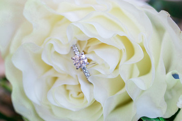 Solitaire Engagement Ring in White Rose