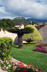 Garden of a orange colonial house 