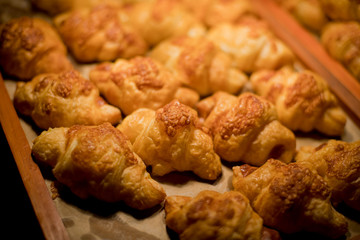 sandwich, mini canapes, buffet food, catering food party at restaurant, snacks and appetizers, mini cake, food for the event