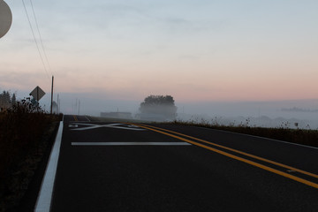 Morning fog with road