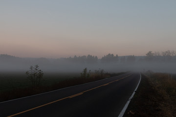 Foggy road in the morning