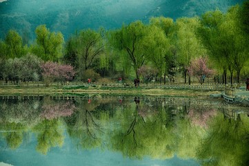 Lake in spring