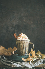 Autumn or Winter hot chocolate or coffee with whipped cream and cinnamon in rustic mug, dark background behind, copy space. Fall warming sweet drink