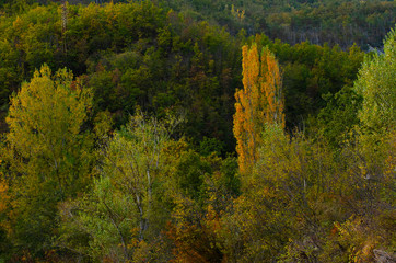 autumn in the hills