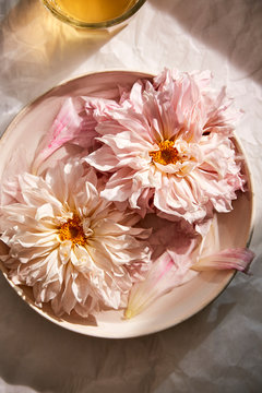 Overhead view of pink dahlias in bowl
