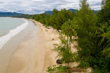Aerial drone view of palm trees around a beautiful deserted tropical sandy beach