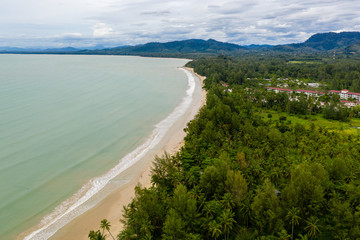 Aerial view of a beautiful, empty tropical sandy beach and palm trees