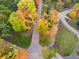 city park area, top view. trees with bright foliage during fall season