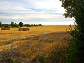 Haystacks in a wide plowed field