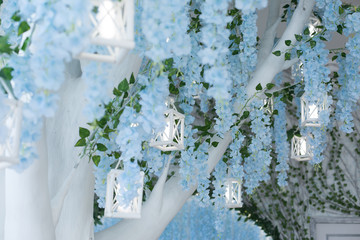 tree with blue flowers. hanging flowers. blue flowers. the decoration of the room. lanterns on the tree - Powered by Adobe