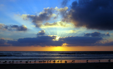 sunset on the Torrey Pine beach