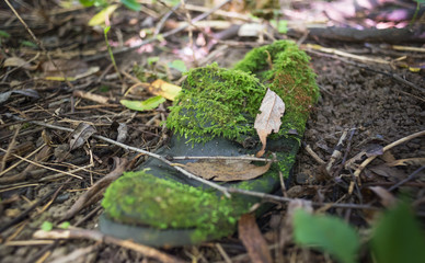 Close-up of an old, aged shoe covered with moss and fallen leaves, lying untouched for a long time amidst lonely wood.