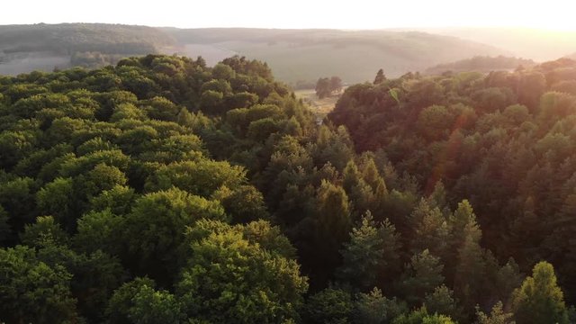 Aerial view of a highway running through the woods. Aerial view of the green forest. Nature beauty, sun beams