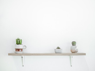 Small cactus plant decoration