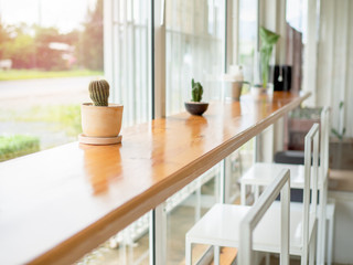 Small cactus decoration in cafe