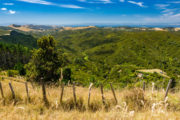 Naklejka premium bewaldete Waiheke Insel vor den Toren Aucklands, Neuseeland