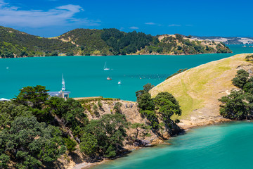 Segelboote vor der Waiheke Insel, Auckland, Neuseeland