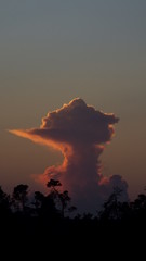 Fototapeta na wymiar mushroom cloud