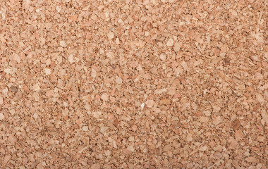 Large piece of corkboard