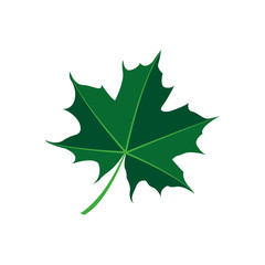 maple leaf logo icon design template vector