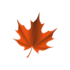 maple leaf logo icon design template vector