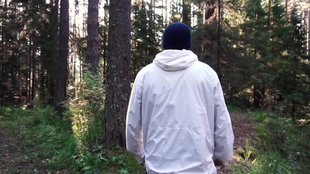 Young man on camping trip. Footage. Concept of freedom and nature. View of man from back walking in woods along path on sunny autumn day
