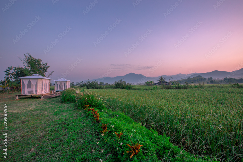 Wall mural close-up view of nature (fields, fog, morning sun) the mountainside is a beautiful atmosphere, beaut