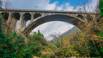 Fototapeta na wymiar Beautiful bridge in the forest of China