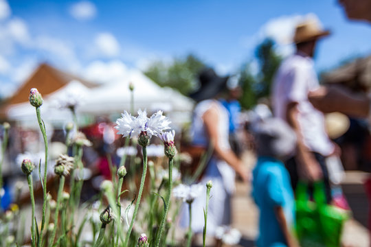 White flowers at the farmer's market with blurry people and food stalls in the background - 1/2 - Closeup picture with vibrant colors, taken outside in a french canadian farmer's market