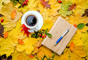 Autumn background-a Cup of coffee and a notebook lying on yellow leaves 