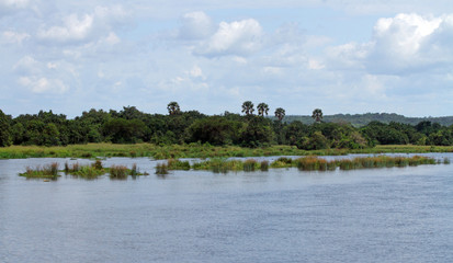 On the River Nile in Uganda