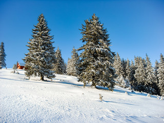 Winter landscape in the mountains with red cabin in the background. Snow through mountains forest