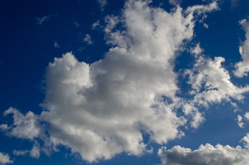 Fluffy white cloud against blue sky