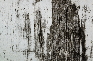 mildewed wall background