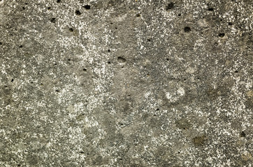 Obraz premium mildewed wall background