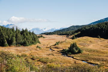 Autumn view of valley, evergreen forest and distant snowy mountains in Alaska