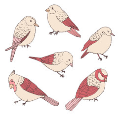 Hand drawn vector birds line art set. Cute little creatures in pastel colors isolated on white background. Wildlife contours.