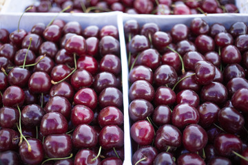 boxes with fresh red cherries, counter of the seller of fruit and vegetables, farmer's market
