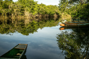 Rustic wooden boats in lagoon in Marimbus Swamp in the Chapada Diamantina in Brazil