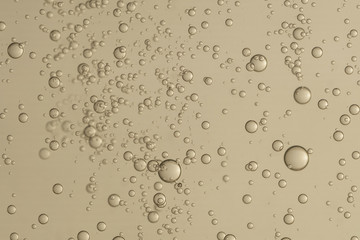 Champagne bubbles