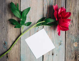 peony flower and blank paper sheet on wooden background